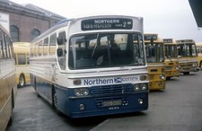 northern scottish npe37 aberdeen 81  6x4 Quality Bus Photo