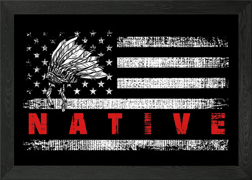 Native american flag framed - native,
