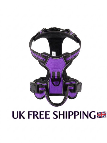 Dog harness pull - no,