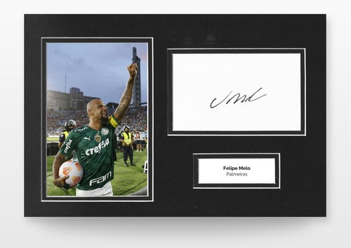 Felipe melo signed 12x8 - melo, photo