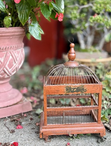 Vintage canary bird cage - vintage,