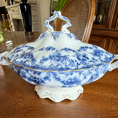 Torbay england floral blue - england,
