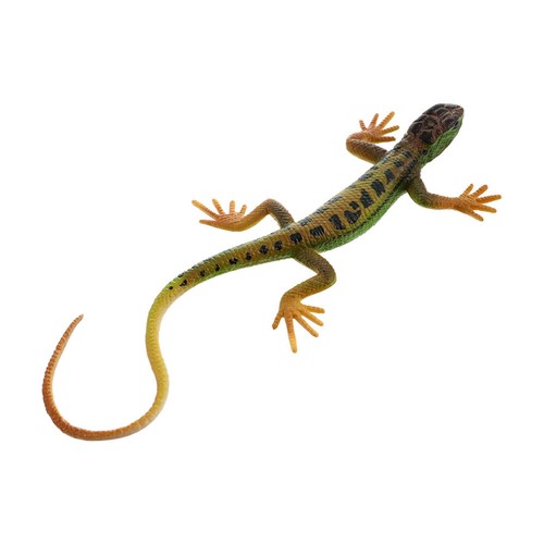 Realistic skink lizard toy - skink,