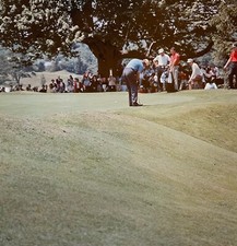 Art Wall Jr. 1963 Thunderbird