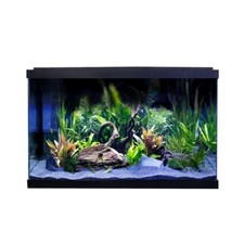 Swell Aquarium Kit Premium