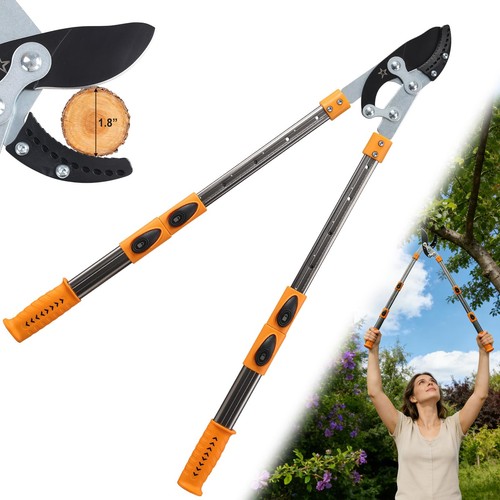 Extendable loopers for - extendable, tree