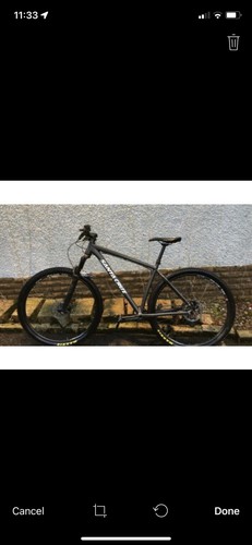 Santa cruz highball - highball, 2019