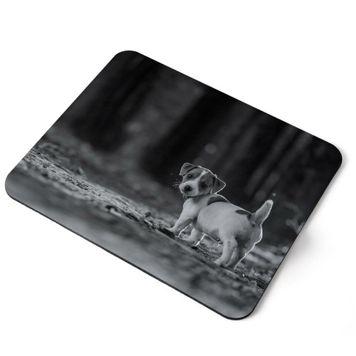 Mouse mat pad jack - mat, bw