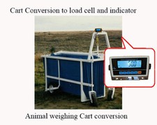 Livestock Vet scale Veterinary