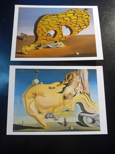 Salvador dali postcards - salvador,