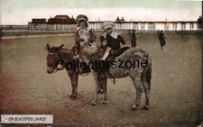 1908 Blackpool Sands Donkey s