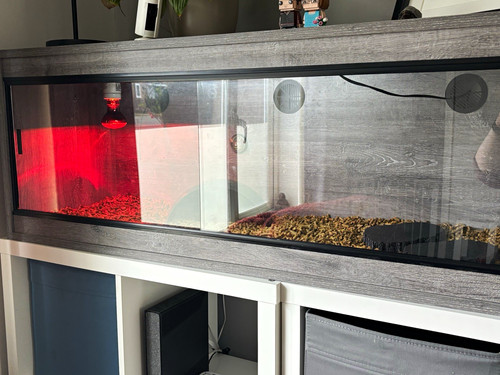 Wrigglies large grey vivarium