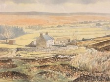 Large Contemporary Countryside