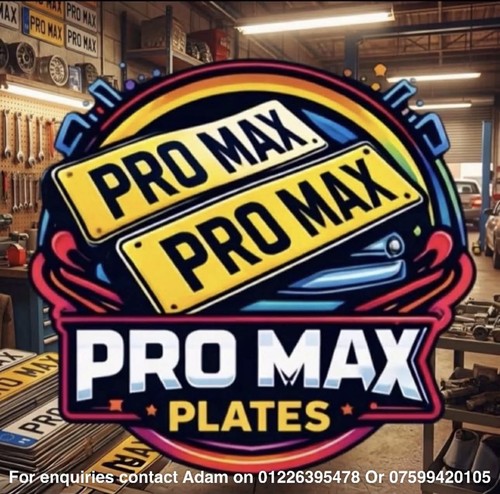 Pair customised show plates - show,