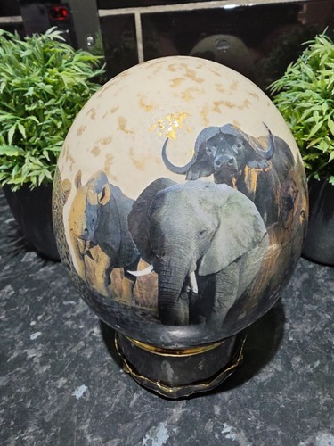 Ostrich egg big - ostrich, animals