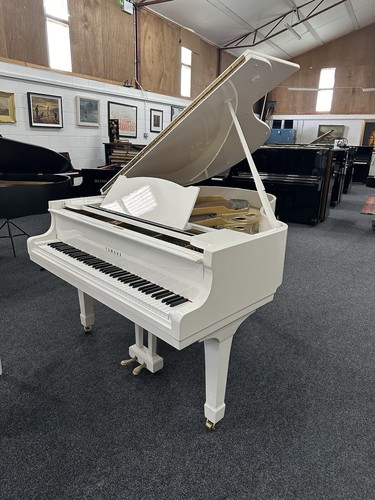 Yamaha white grand piano - yamaha,