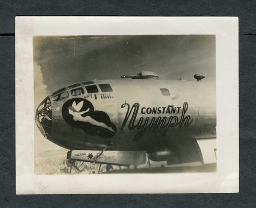 Wwii usaaf aircraft nose - nose, art