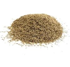 LAWN GRASS SEED 1KG BACK HARDWEARING ( TREATS 20 SQ/M ) From Maltbys Stores Ltd.