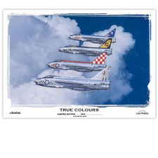 True Colours Poster Print RAF