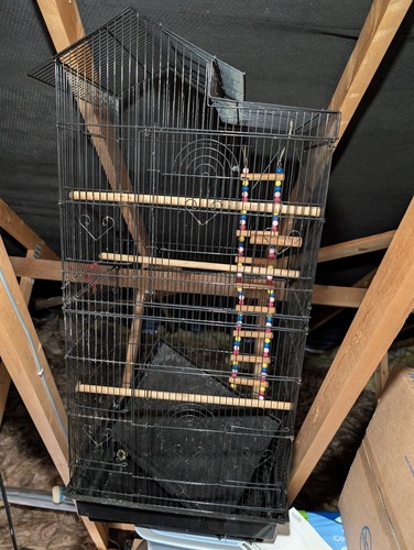 Large bird cage with - bird,