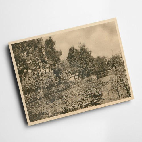 Print vintage norfolk - -,