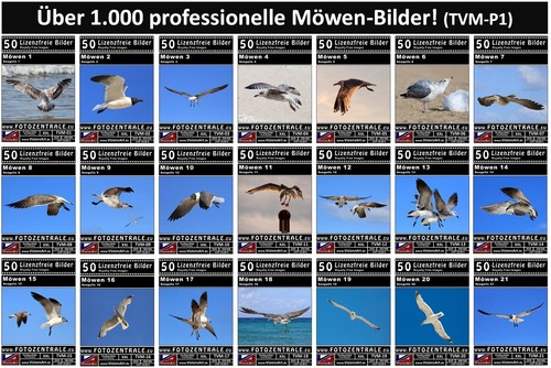 1050 royalty free - 1050, professional