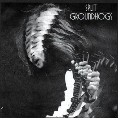 The groundhogs split - the, (vinyl)