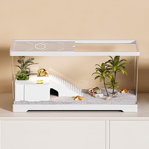 Turtle fish tank basking - turtle,