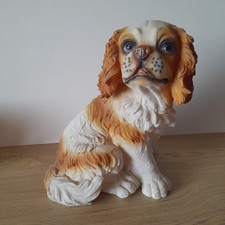 Cavalier king charles spaniel - cavalier,
