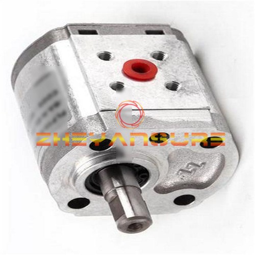 One casappa gear pump - one,