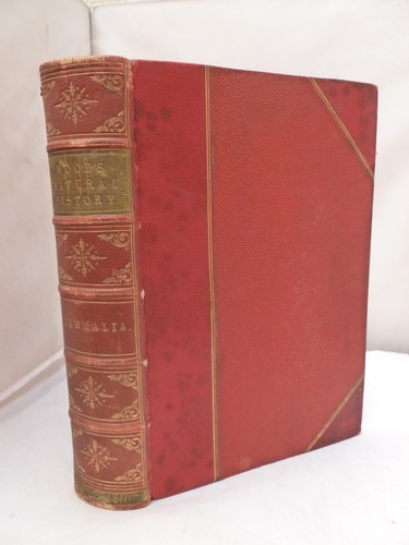 The illustrated natural - illustrated,