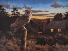 Barn owl at dusk by julian friers, framed and double mounted, Next Day Delivery.