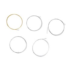 .›5 String Banjo String