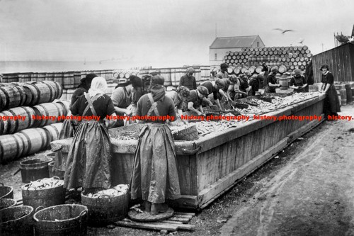 F014061 herring gutters - gutters, wick