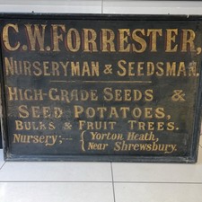 Painted timber seed man’s