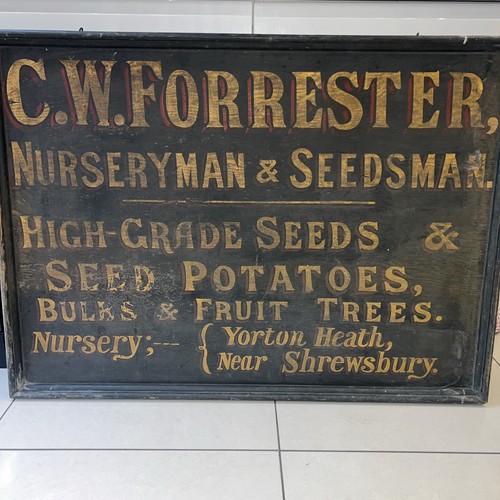 Painted timber seed - , man’s