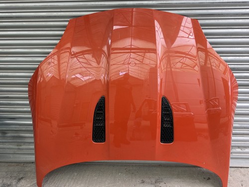Genuine jaguar type - jaguar, x152