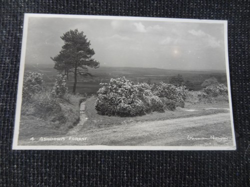 Ashdown forest postcard - forest,