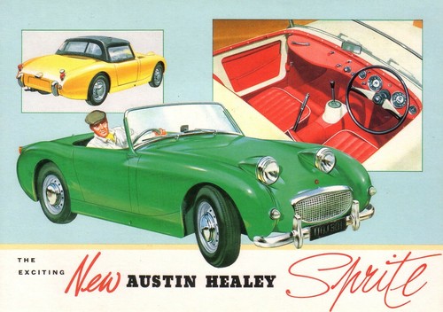Austin healey frog eyed - healey,