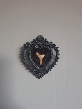 Taxidermy Mini Curio Frame No8