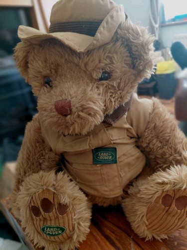 Land rover safari - safari, bear