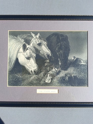 Antique steel engraved print