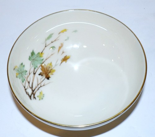Stunning lenox china - lenox, westwind