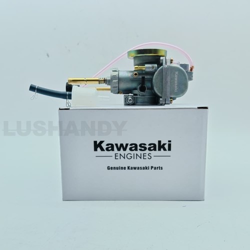 Carburetor set 16001 1185 - set, for