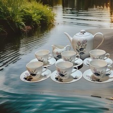 J.G. Meakin England antique coffe set (damage on tea pot)