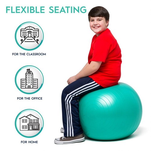 Balance ball 55cm weighted - balance,