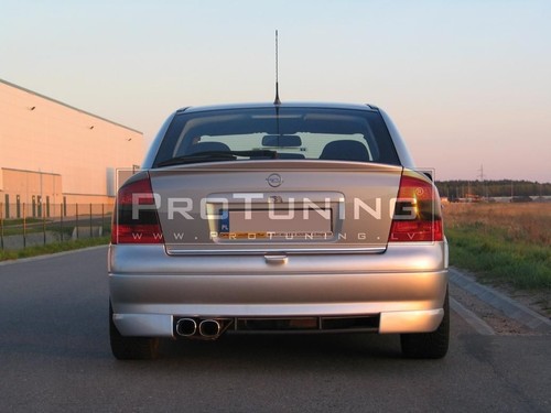 Rear bumper diffuser skirt - diffuser,