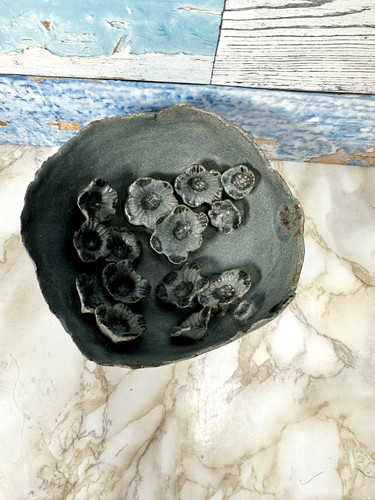 Studio art pottery - studio,