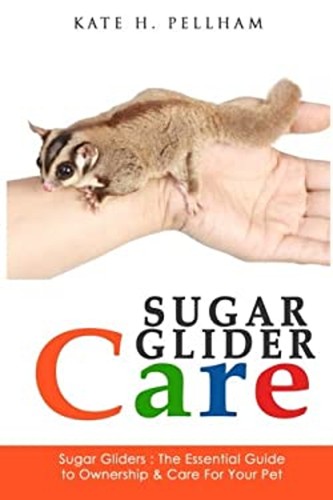 Sugar gliders the - :,