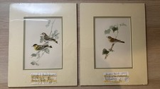 Meyer’s Birds Antique prints -  Hand Coloured vintage cottage core 